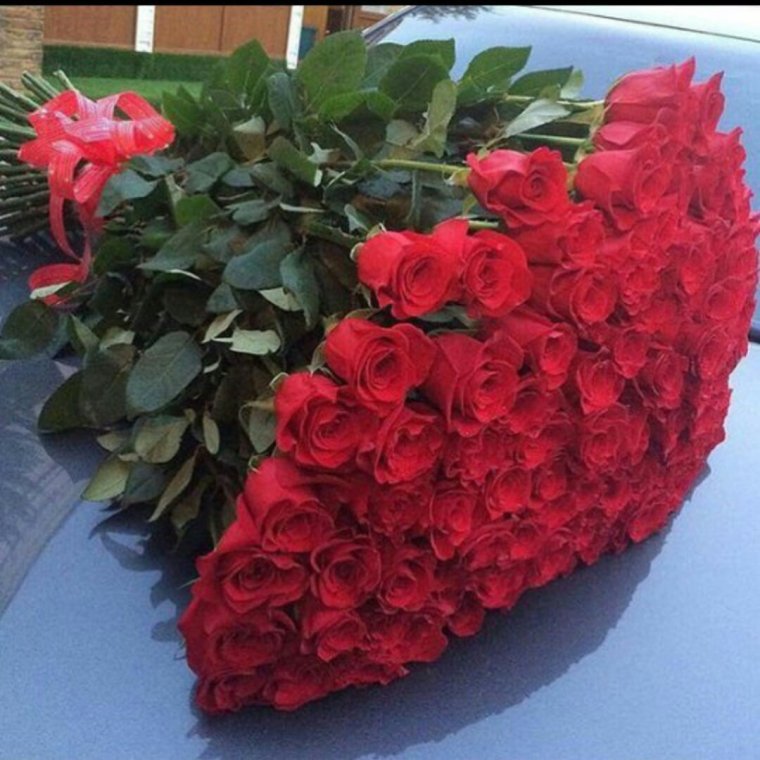 Огромная охапка роз