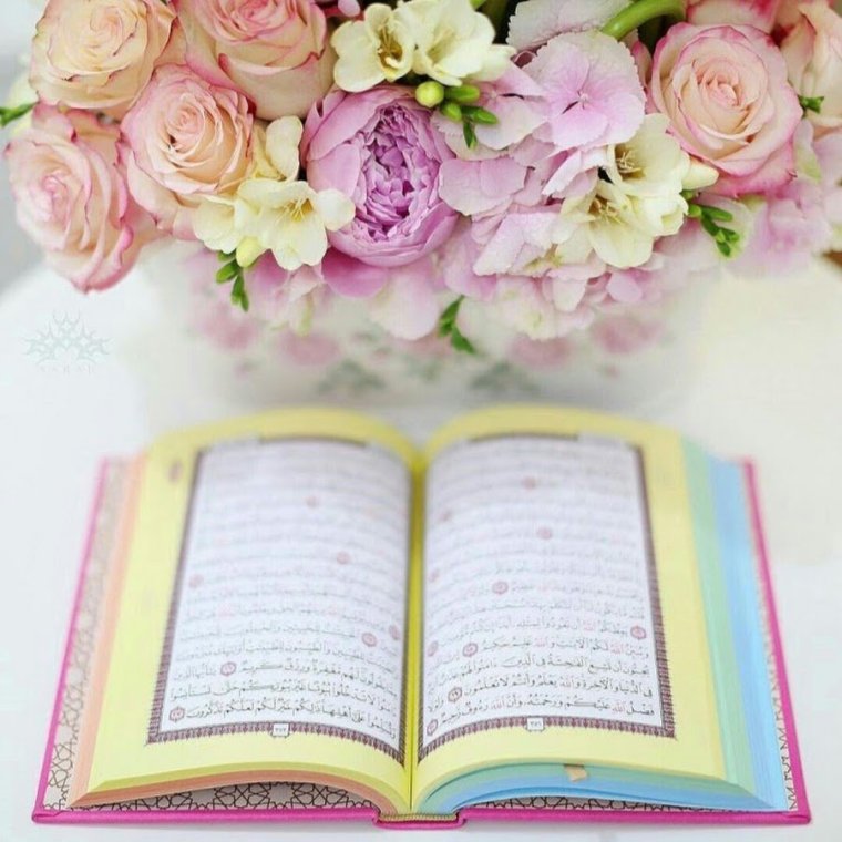 Кадрига етинг