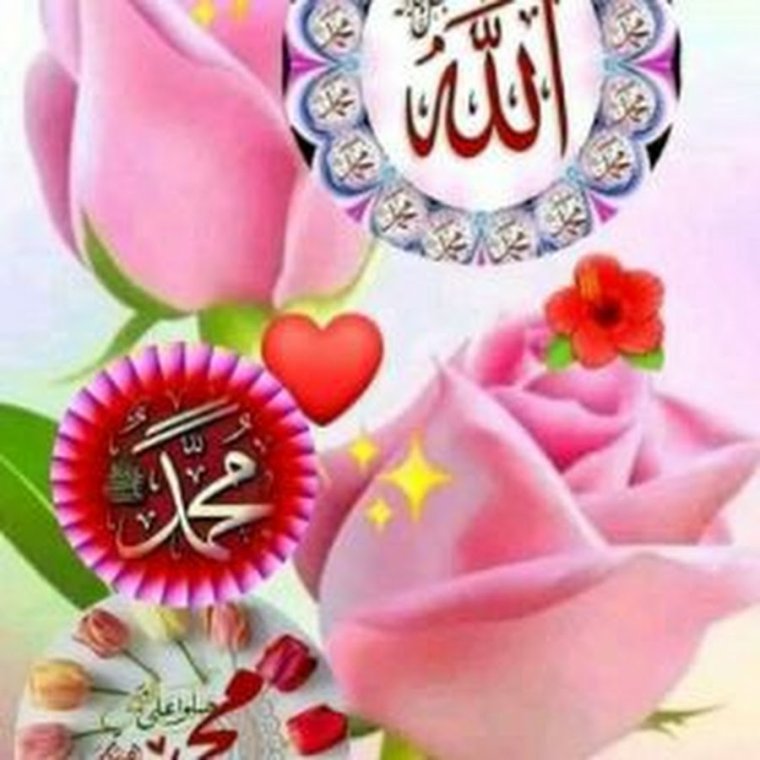 Открытки Жомга кон