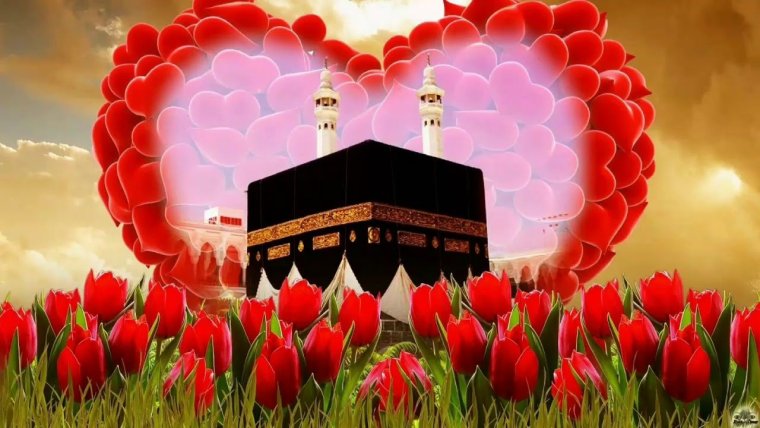 Мусульманское сердце