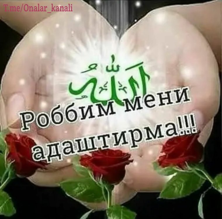 Мусульманские обои 1440х2560