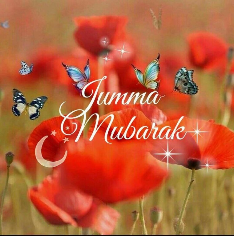 Джума мубарак розы