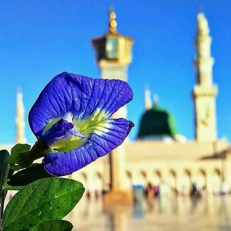 Жума мубарак