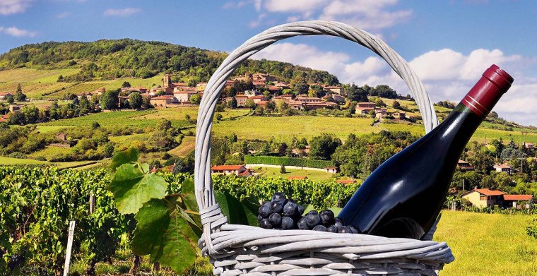 Вино Франция Бургундия