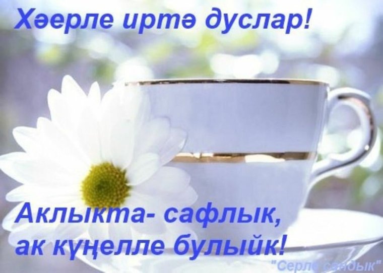 Матурларым