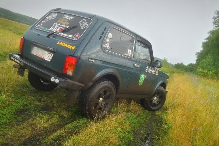 Нива цвет мурена