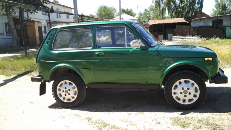 Нива мурена тонированная