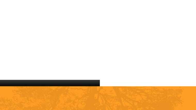 Полоска для титров