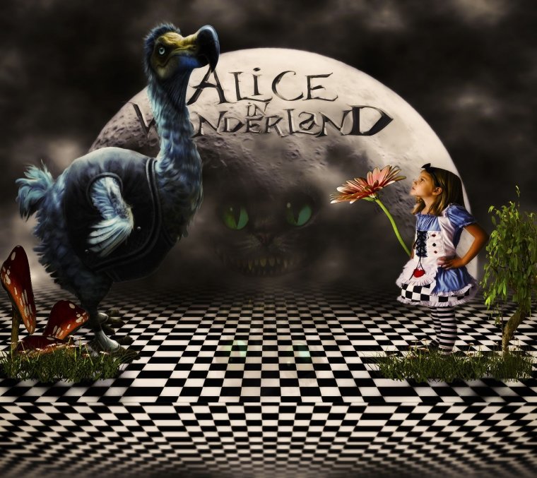 Alice in the Wonderland игрофильм