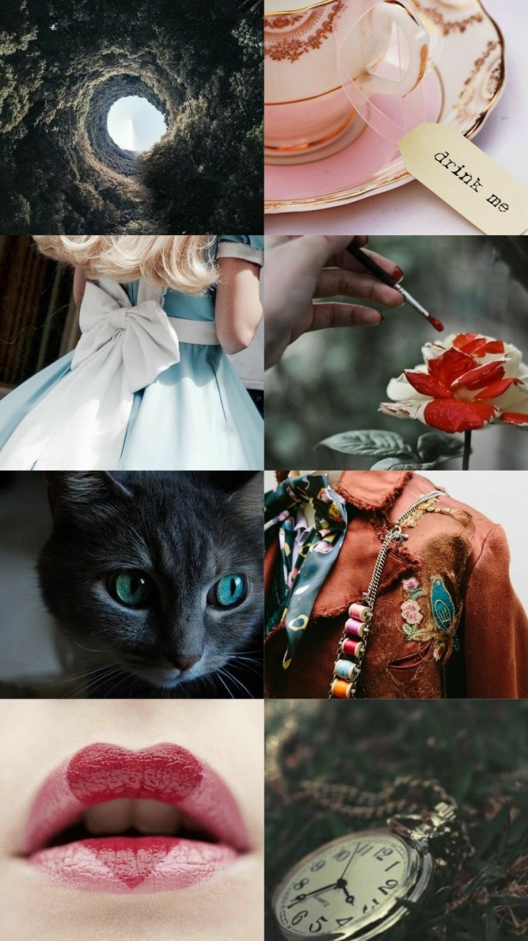 Алиса в Зазеркалье Эстетика