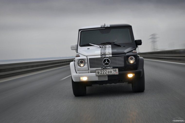 G55 AMG Давидыча