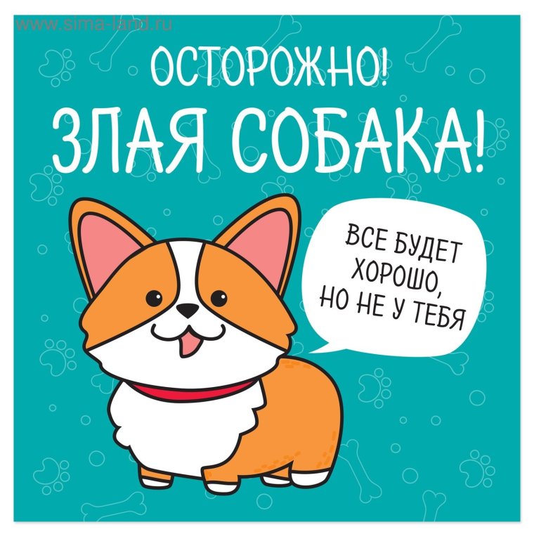 Осторожно злая собака а кот вообще дебил