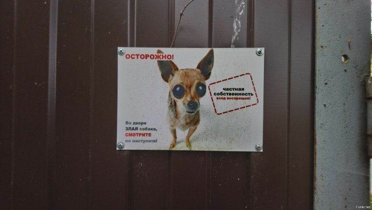 Табличка "злая собака"