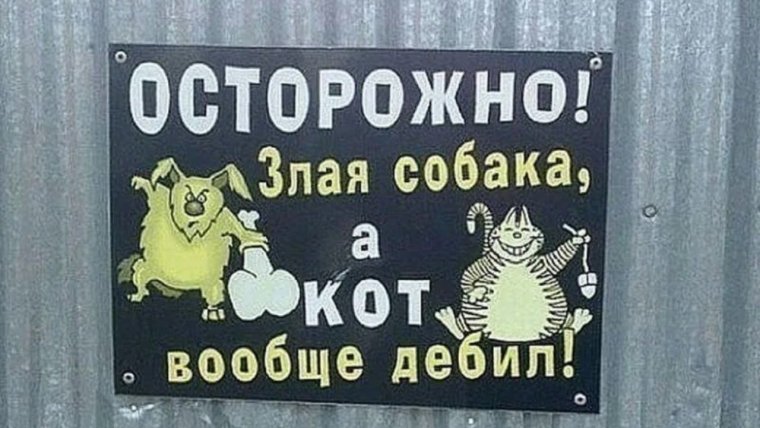 Собака злая цепь китайская табличка