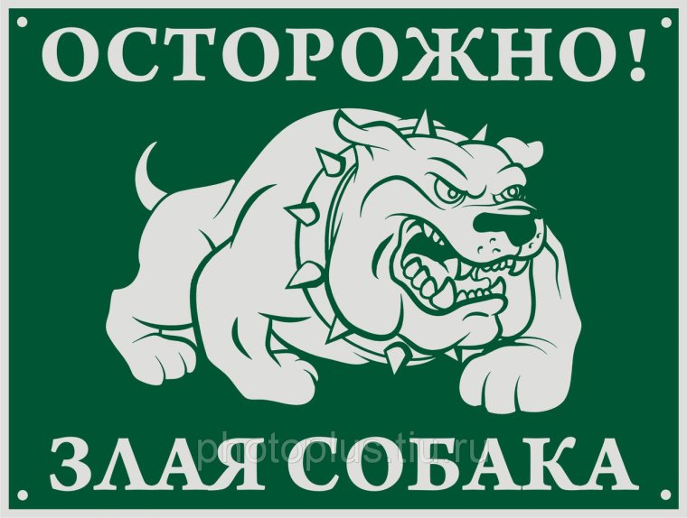 Прикольные надписи на заборе