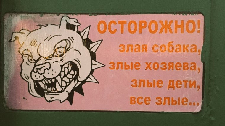 Осторожно злая собака смешные