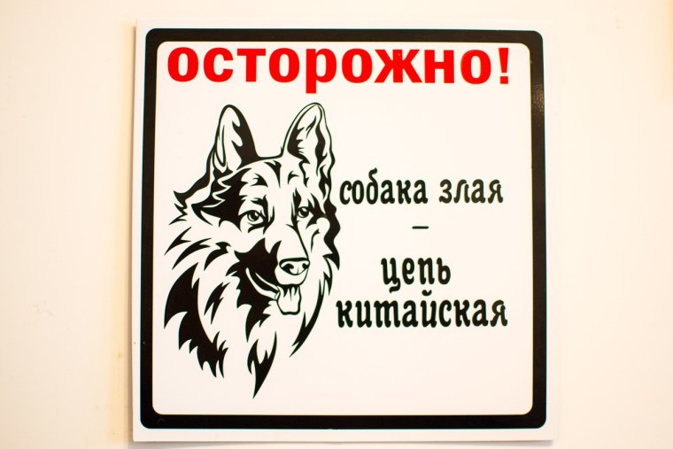 Осторожно злая собака маленькая