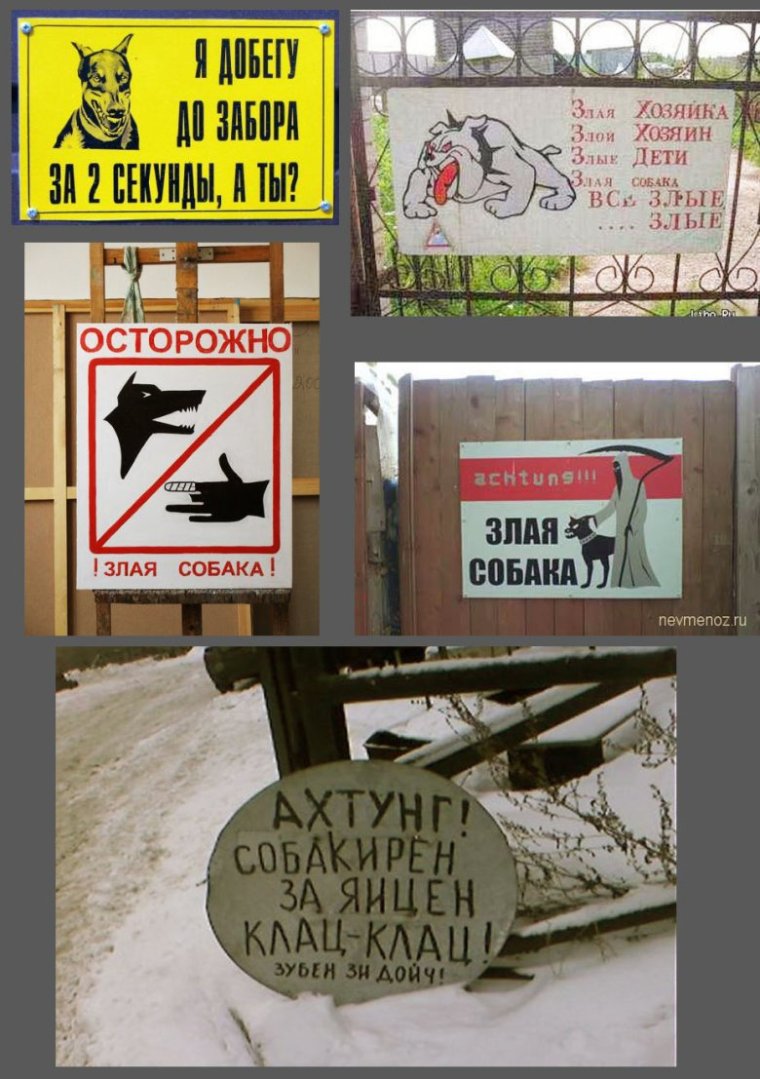 Осторожно злая собака питбуль