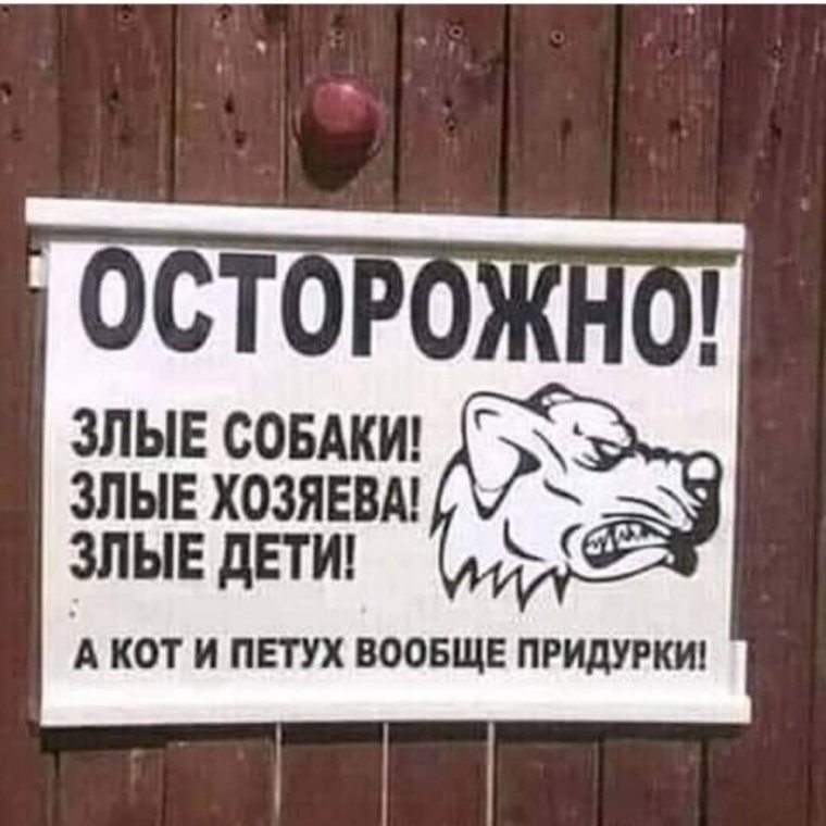 Осторожно, злая собака!
