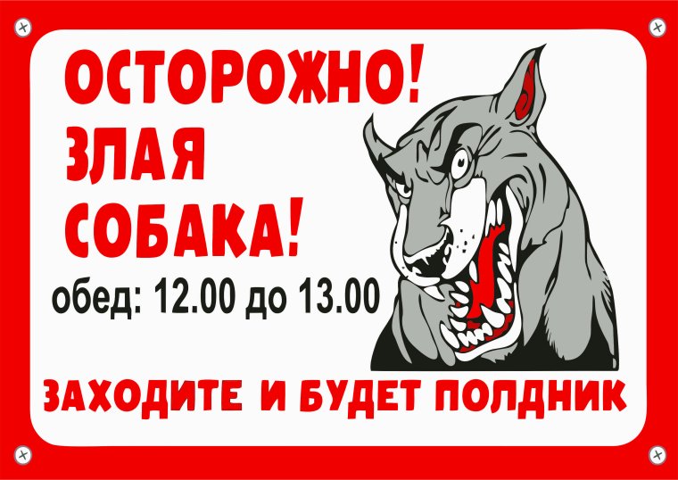 Осторожно кот