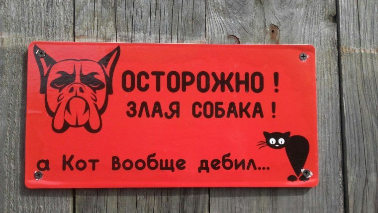 Прикольные таблички с надписями про собак