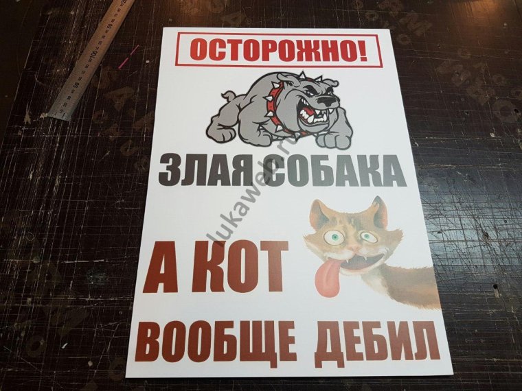 Футболка злая хозяйка