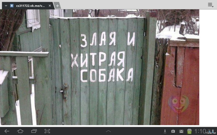 Осторожно кошки