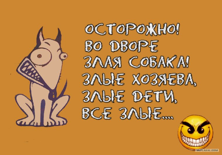 Злая собака а кот вообще дебил