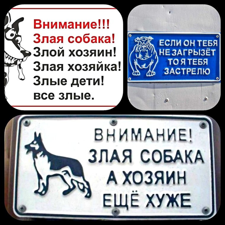 Осторожно, злая собака!