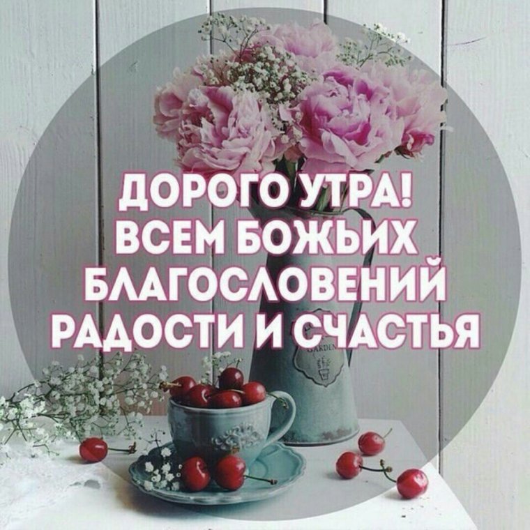 Красивые бабочки на цветах