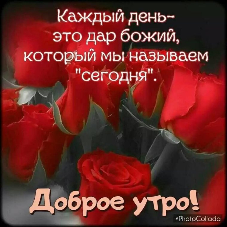 Добрые пожелания из Библии