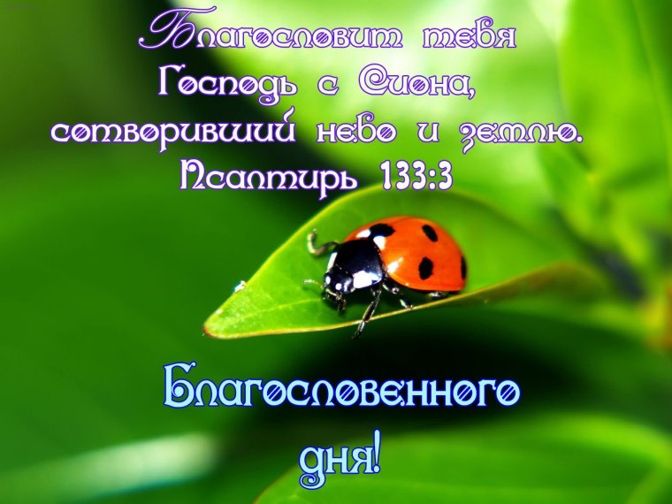 Благословения на каждый день