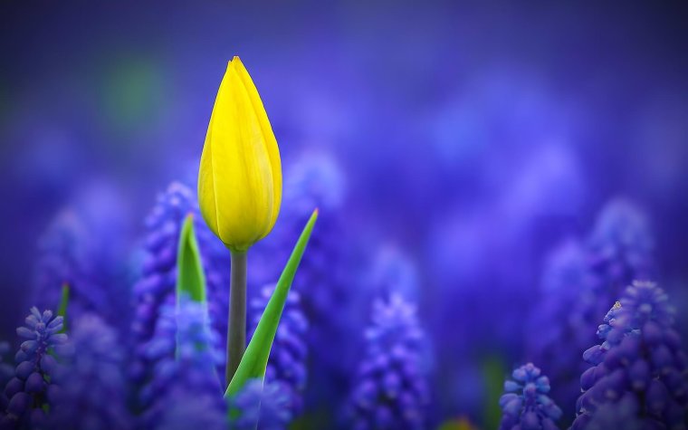 Православные пожелания с добрым утром