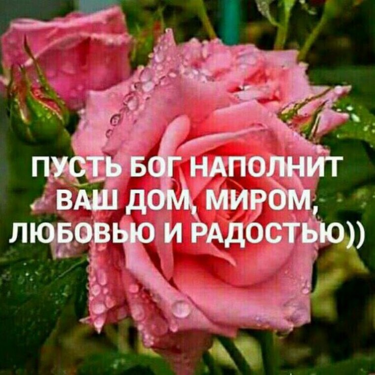 Доброк УТРАИ благославенного дн