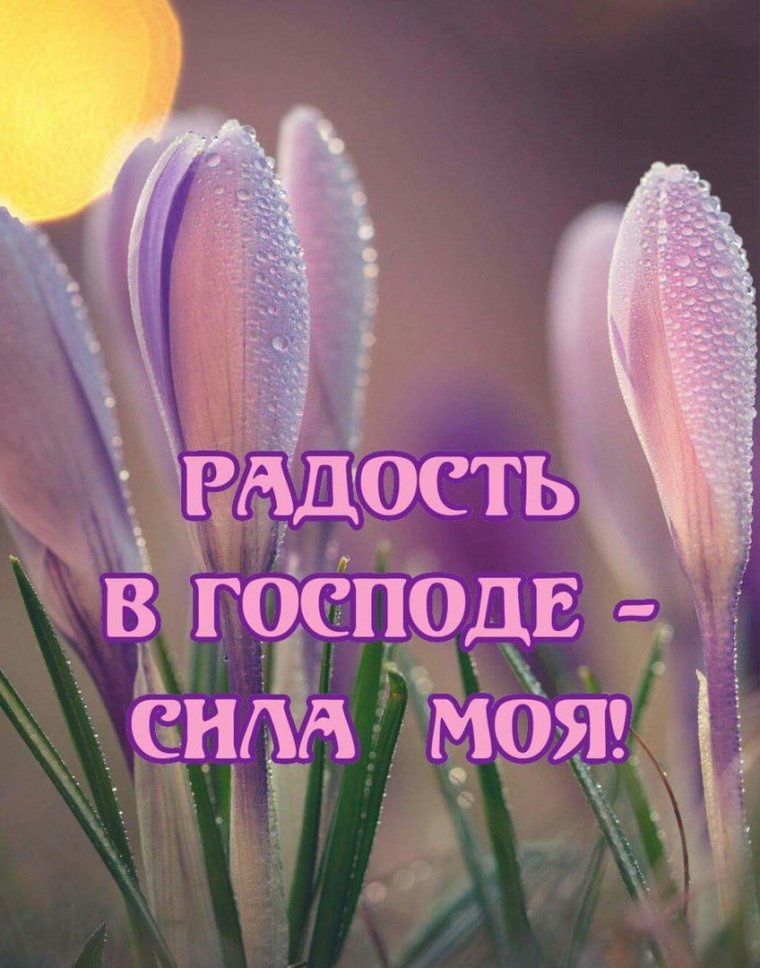 О благодати Божией