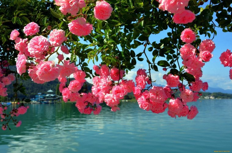 Православные пожелания с добрым утром