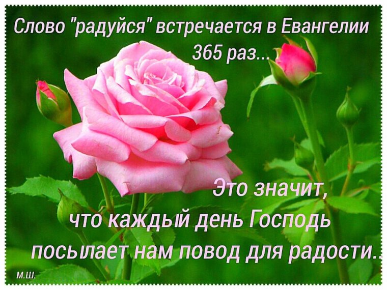 Доброк УТРАИ благославенного дн