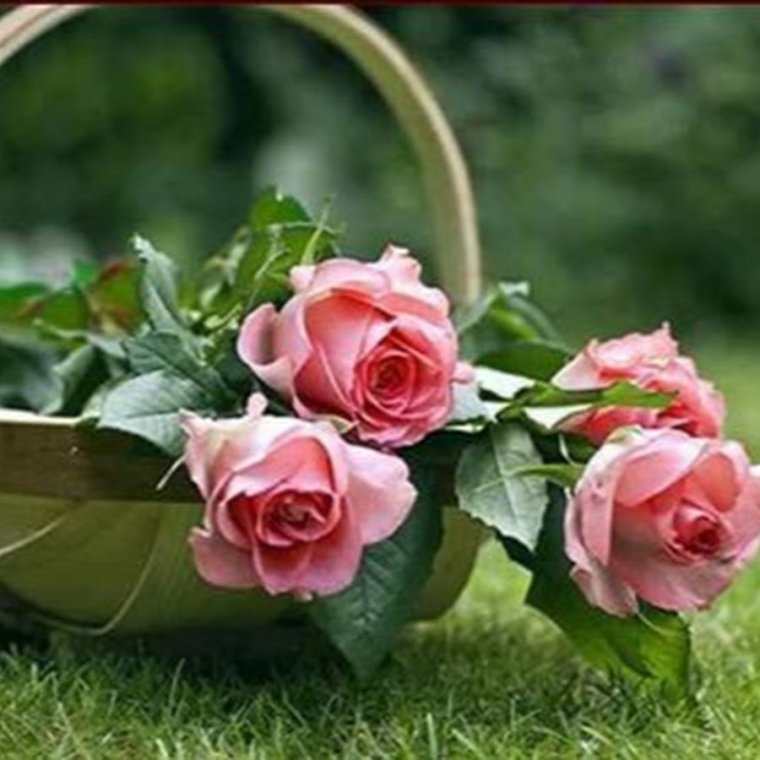 Благословений в зимний день