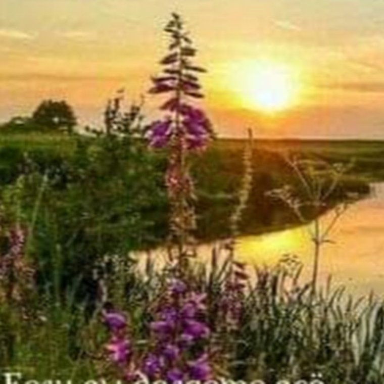 Здоровья и Божьего благословения