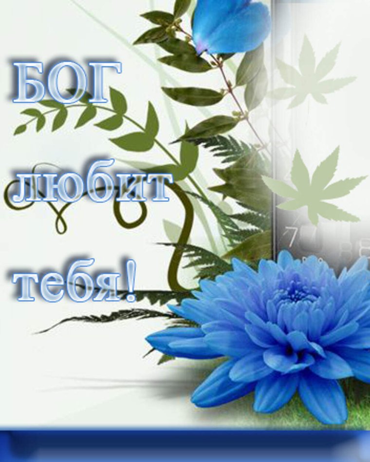 Божьего благословения на вечер и ночь