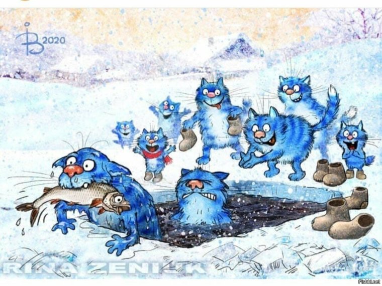 Коты Ирины Зенюк 2021