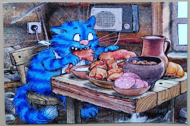 Коты Зенюк 2020