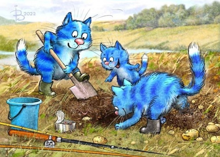 Коты Минской художницы Ирины Зенюк