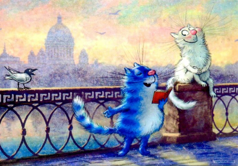 Коты Ирины Зенюк 2020