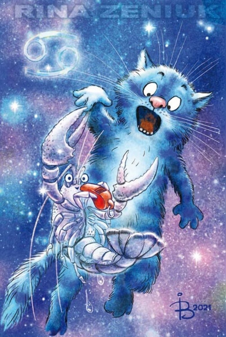 Коты Ирины Зенюк лето