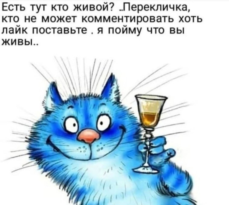 Синие коты Ирины Зенюк Масленица