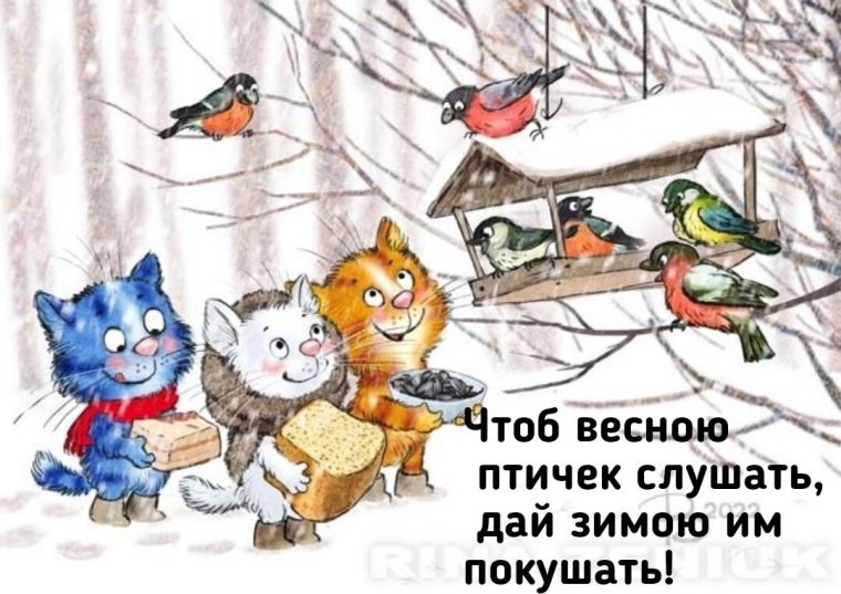 Коты Ирины Зенюк 2021