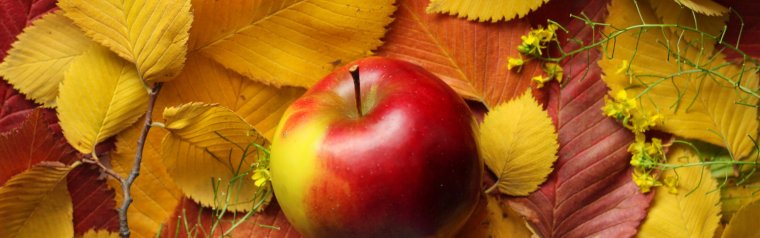 Летние обложки для одноклассников