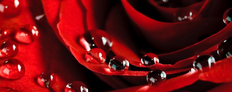 Осенний лес для профиля