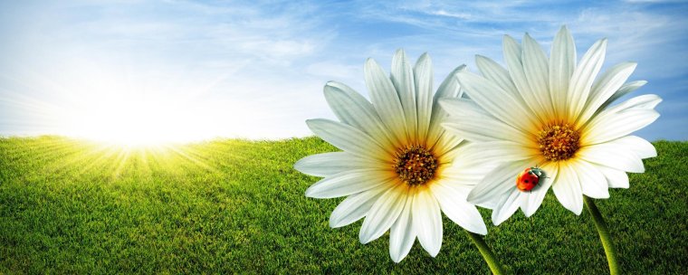 Обложка для группы с одеждой